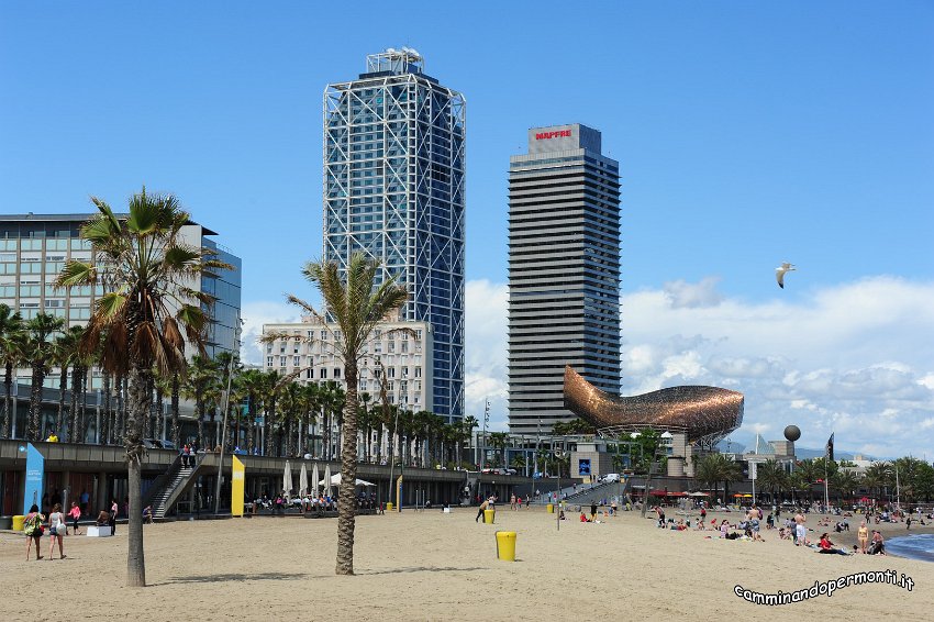 207 Spiagge di Barcellona.JPG